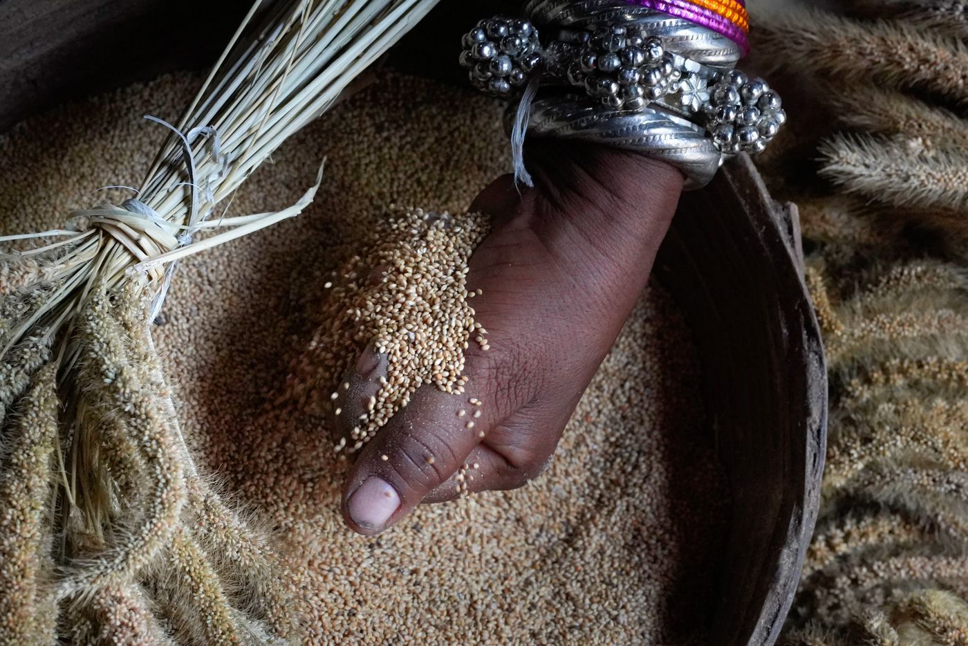 native seed company